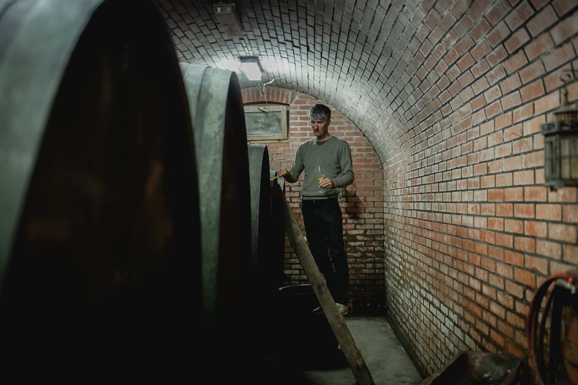 Viñedo de Radovan Šuman