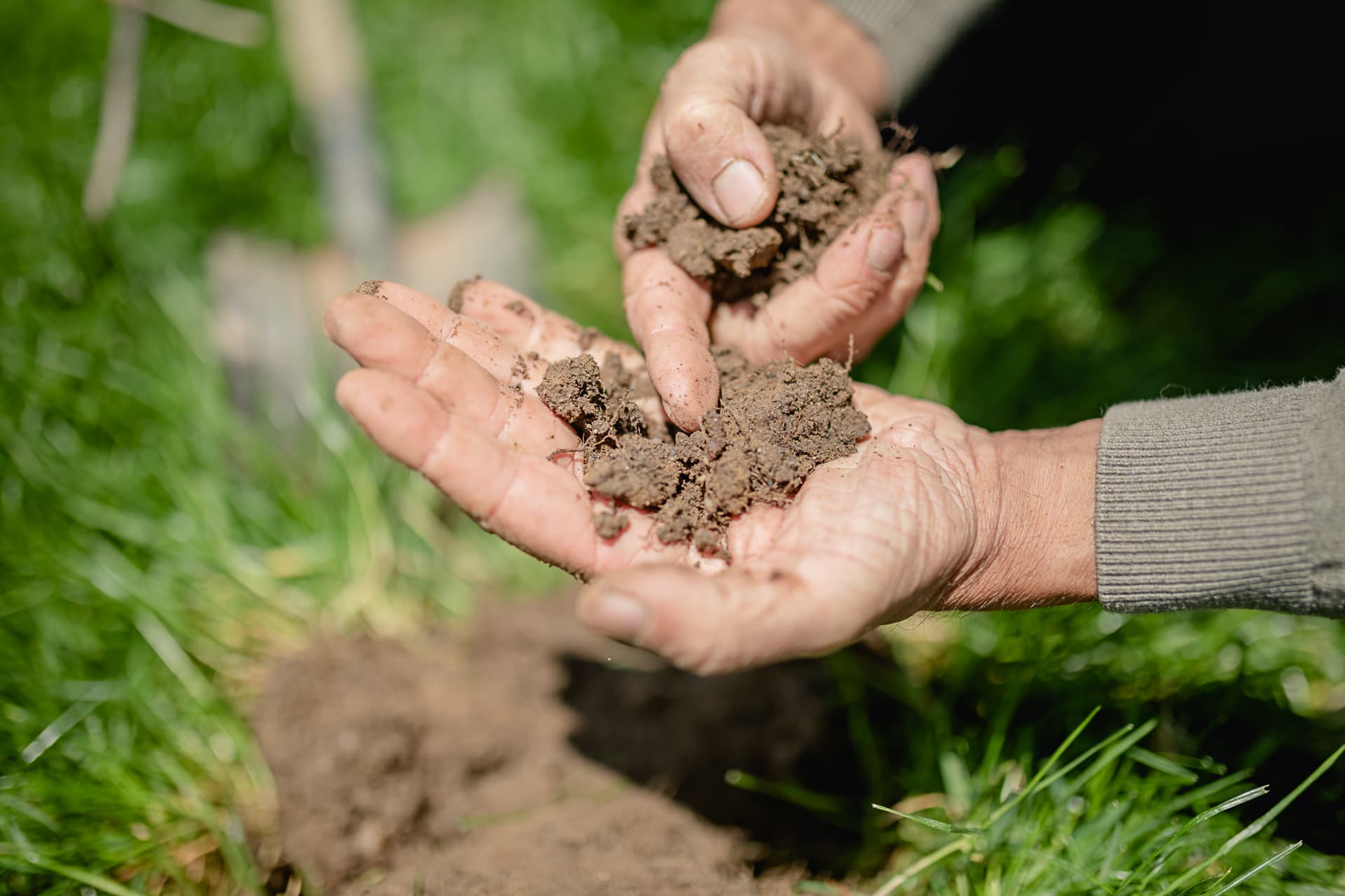 Imagen adicional de Radovan Šuman