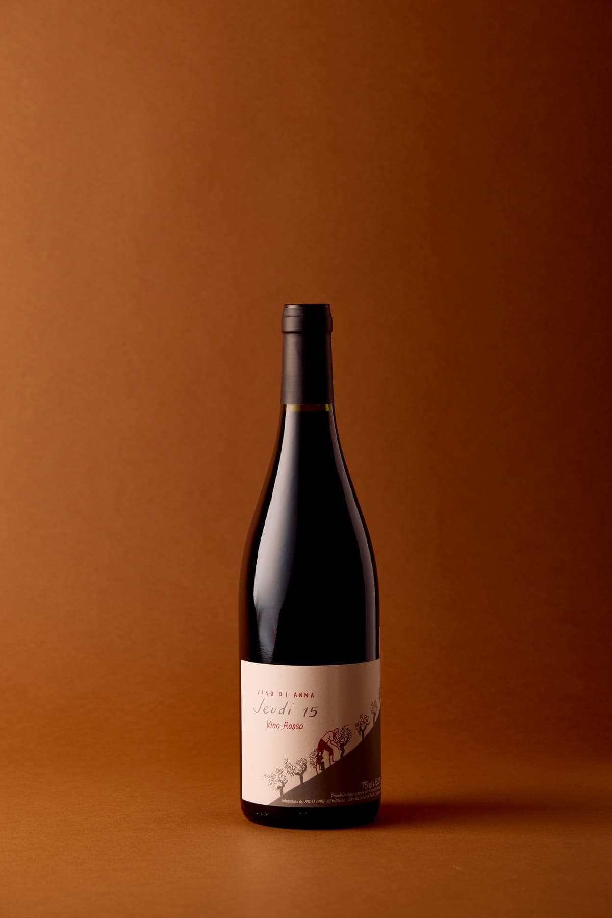 Jeudi 15 Rosso