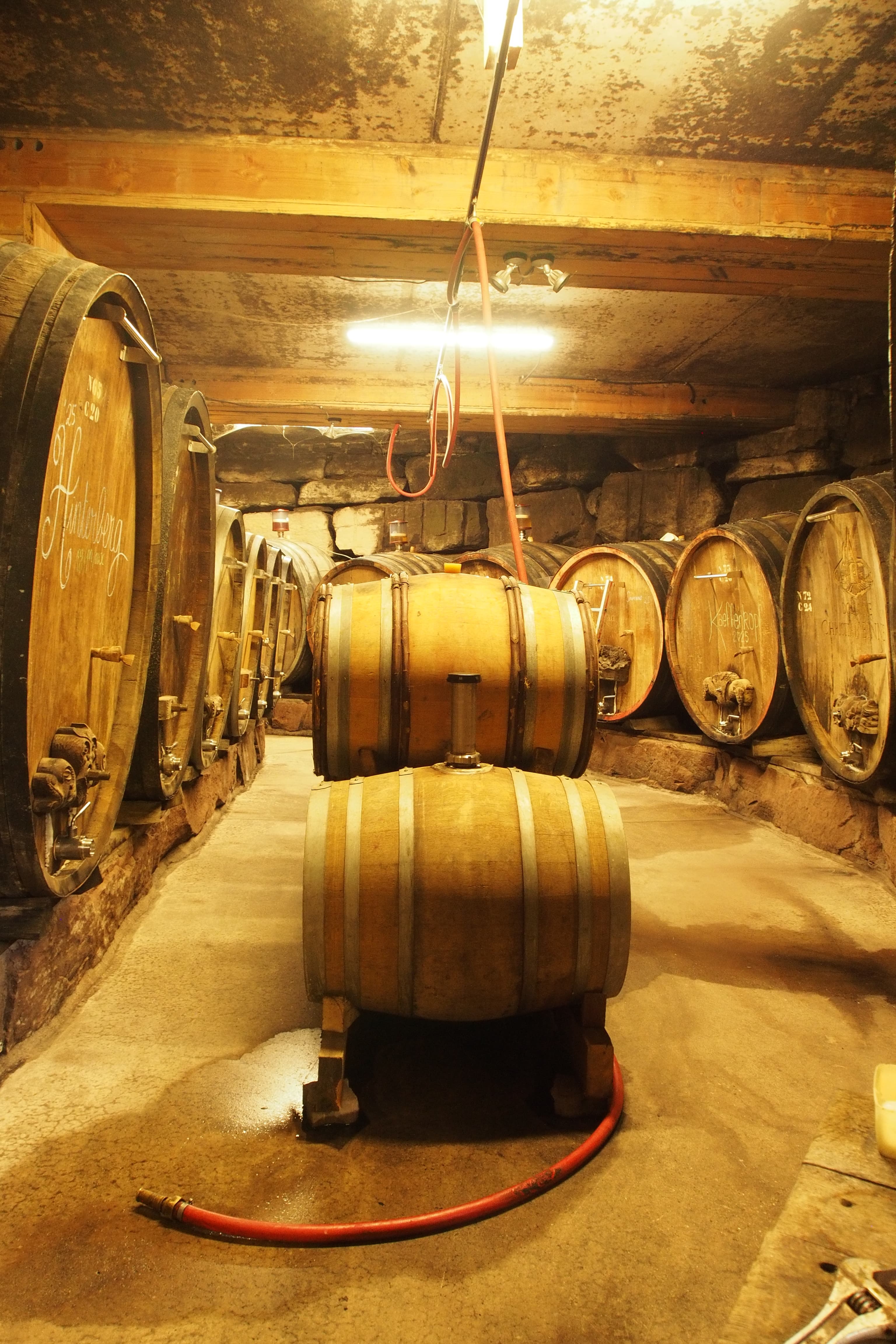 Galería 2 de Christian Binner