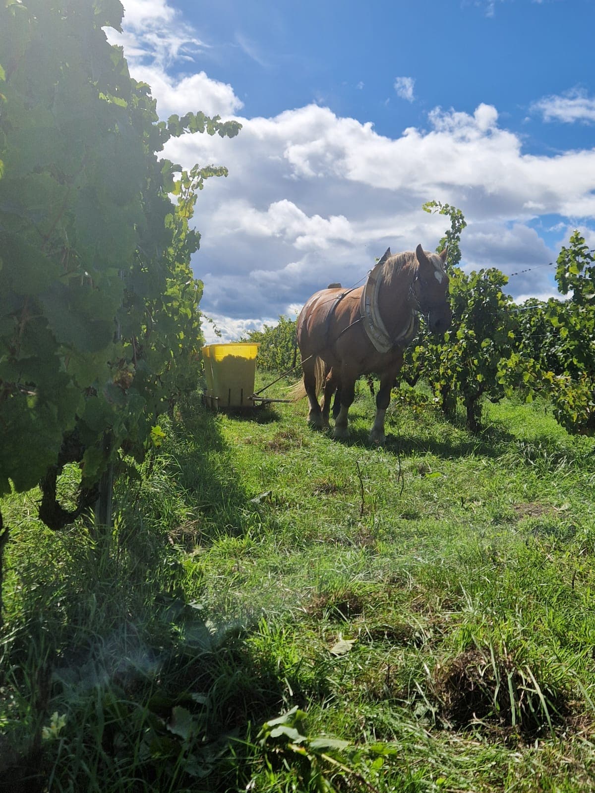 Galería 3 de Christian Binner