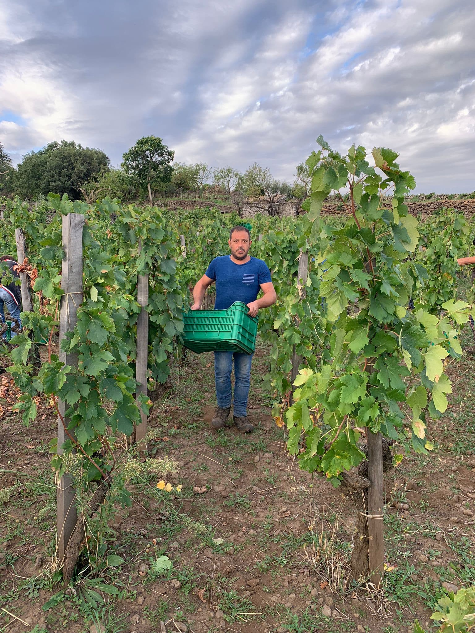 Retrato de los vinos de Eduardo Torres Acosta