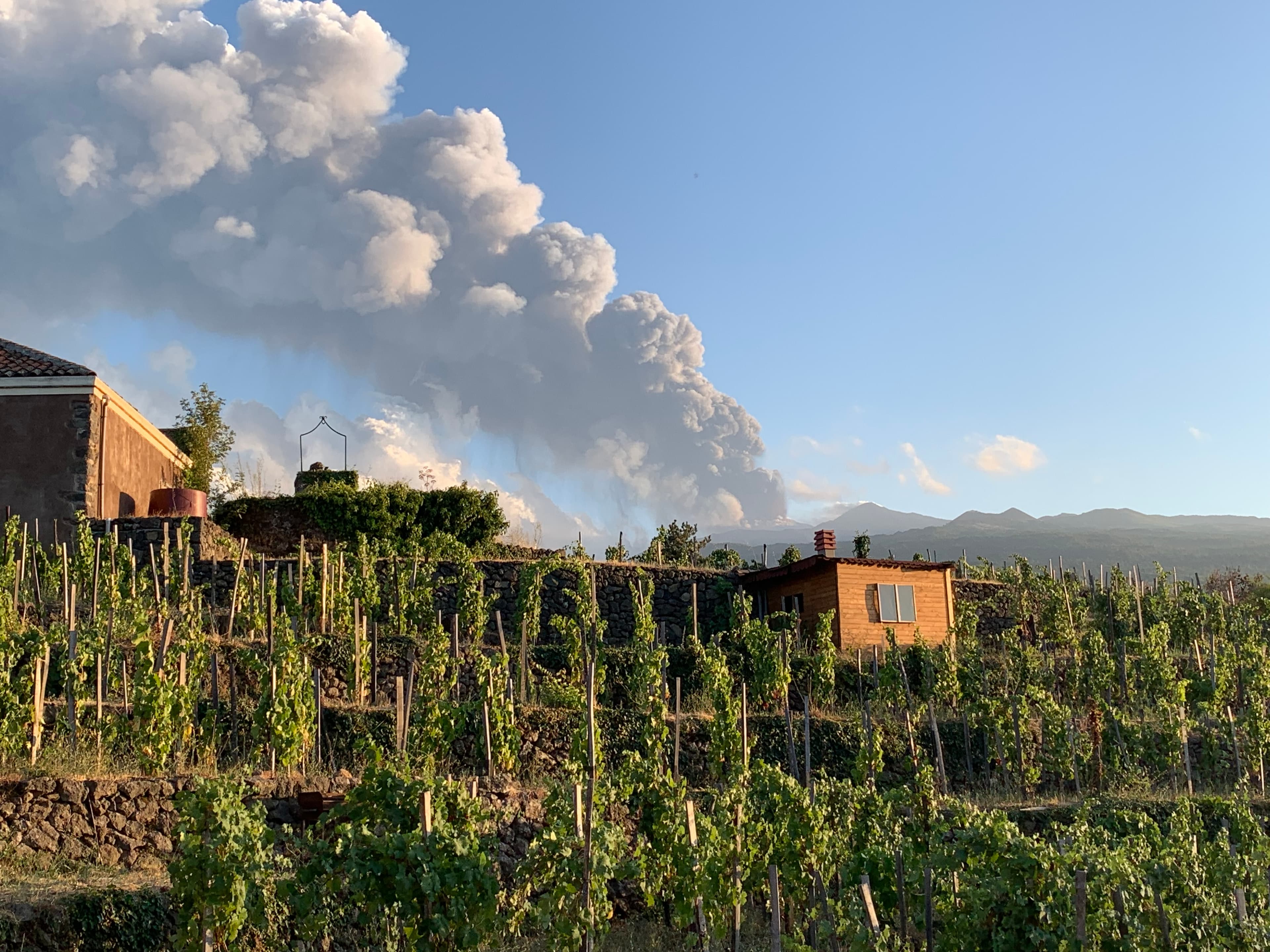 Imagen principal de Vino di Anna