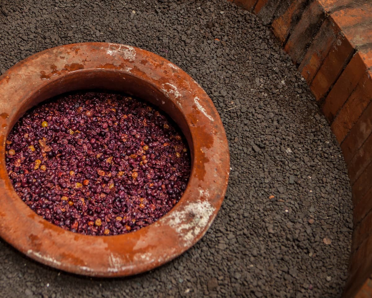 Viñedo de Vino di Anna