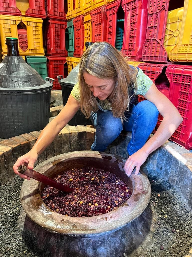 Retrato de los vinos de Vino di Anna