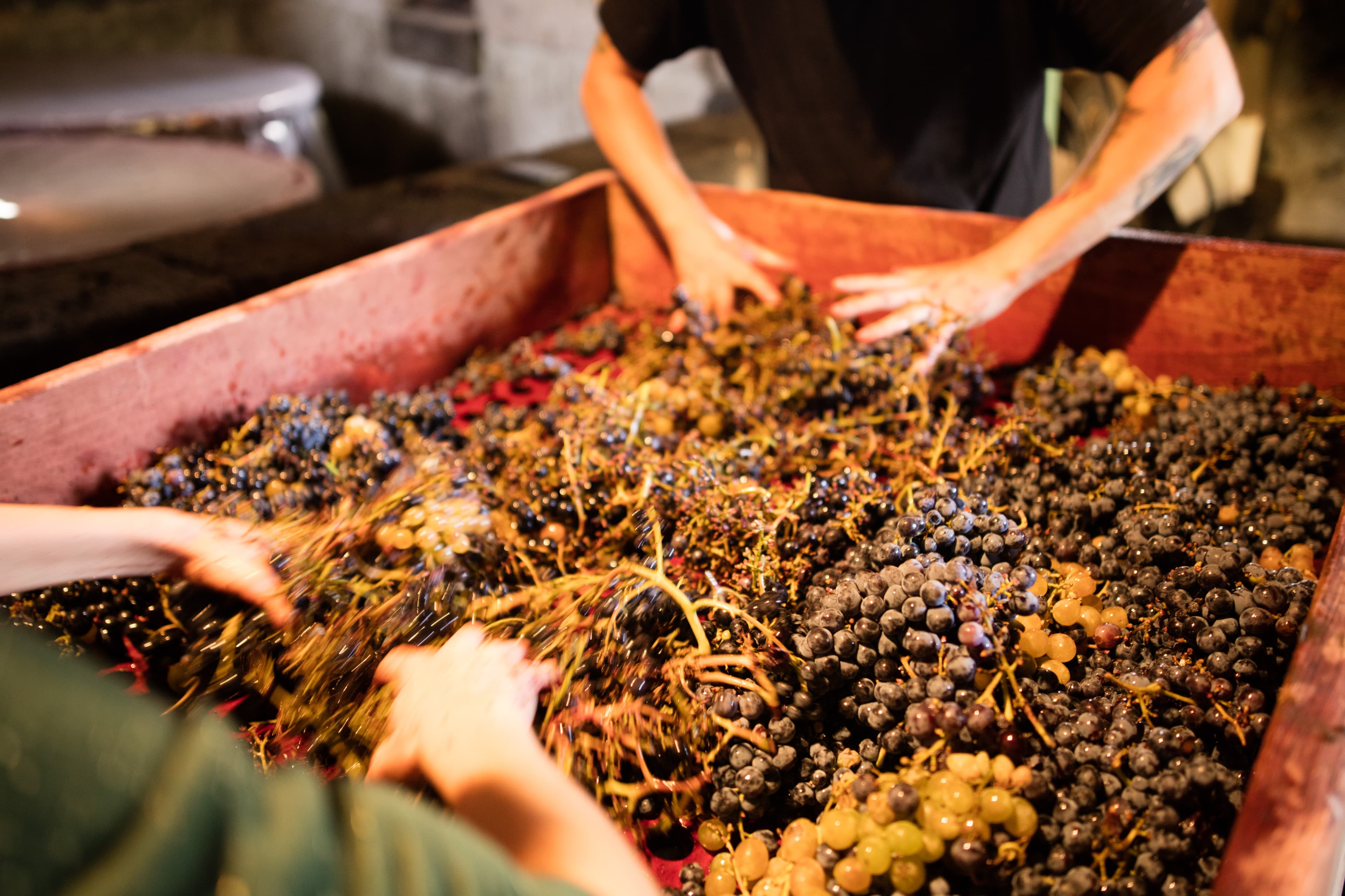 Imagen adicional de Vino di Anna