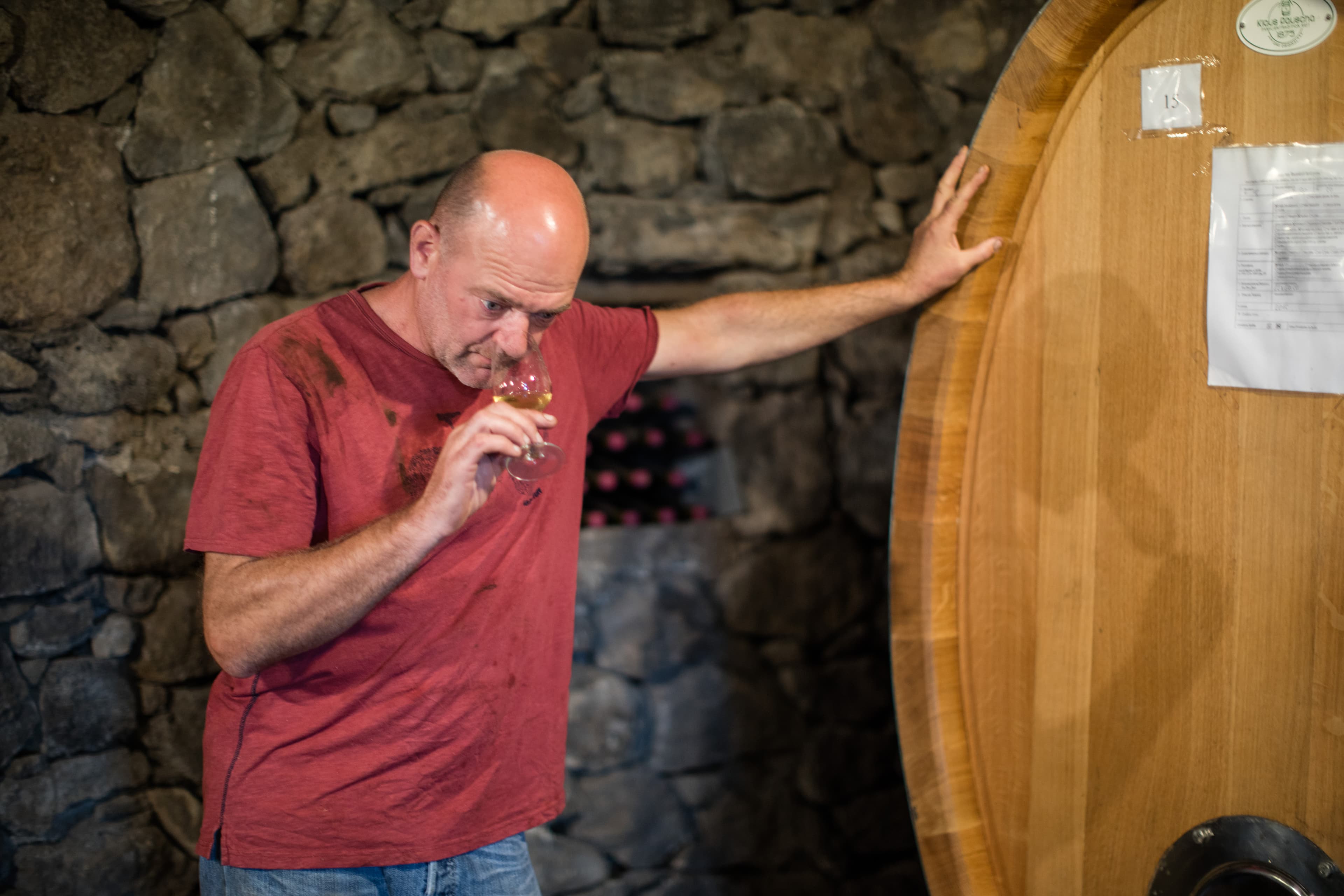 Innovación vitícola en Vino di Anna