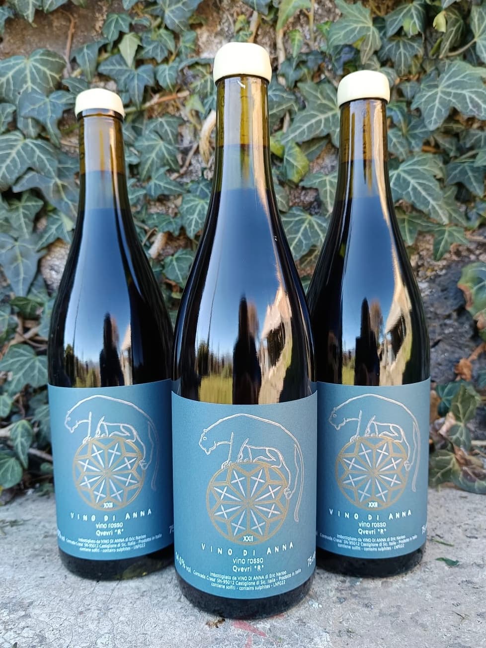 Galería 1 de Vino di Anna
